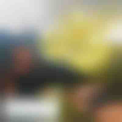 Mini-dronă acționată manual FLASH