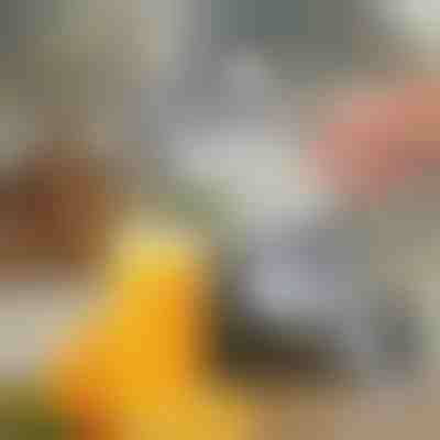 Storcător manual de fructe | JUVOPRESS