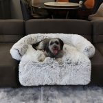 PAWNEST