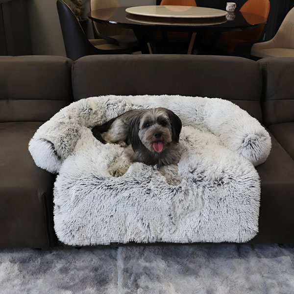 PAWNEST