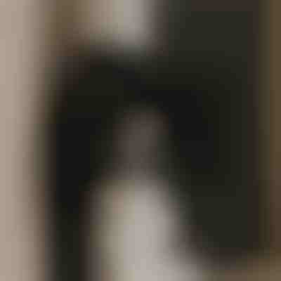 Ventilator puternic pentru aer curat | VENTORIS