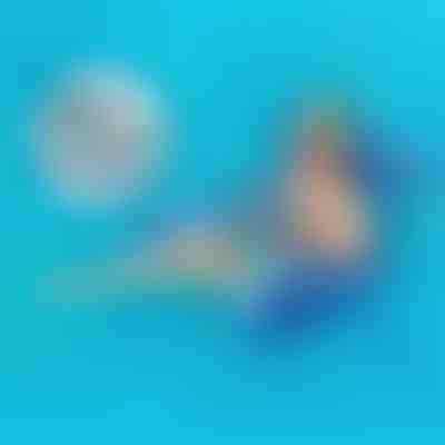 Confort la piscină pentru fiecare escapadă – Set de 2 piese | POOLYRA